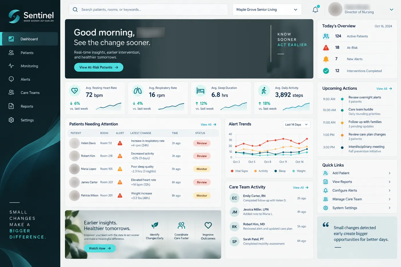 Example screen: Sentinel dashboard