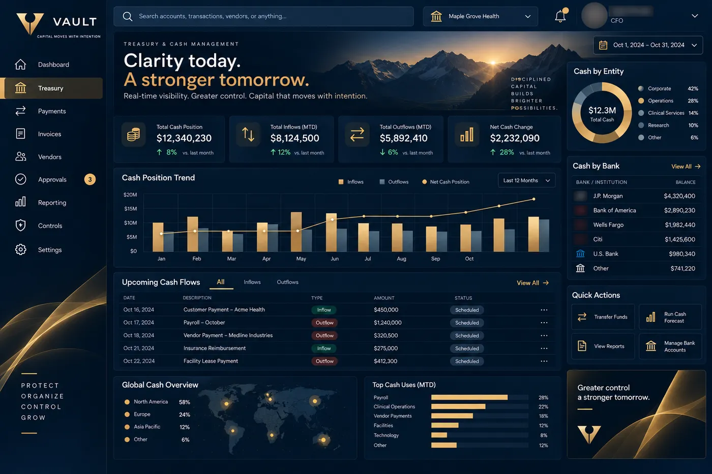 Example Vault screen: treasury and cash management view